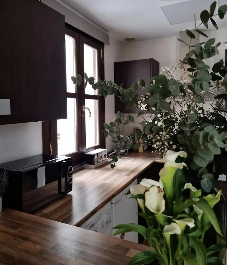 Cozy Apartment In The City Center Granada 0*,  España