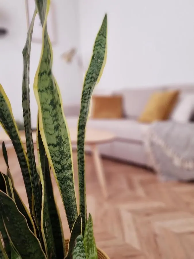 Cozy Apartment In The City Center Granada